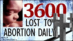 3600 Lost To Abortion Daily Business Card Tract